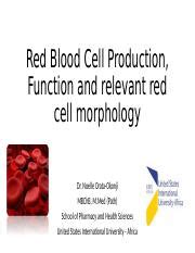 Image result for Explain Red Cell Production
