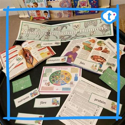 40 Tuff Tray Ideas - Twinkl