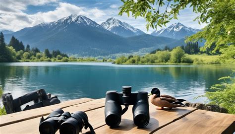 Observation 的图像结果