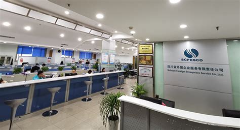 四川省外国企业服务有限责任公司 成都创新互联