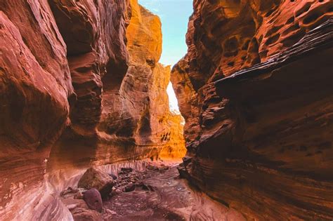 Image result for Webpage Using HTML and CSS