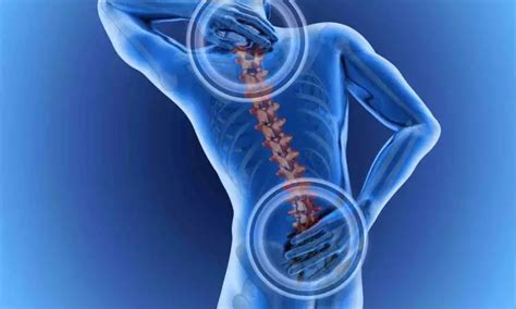 Higher TyG index positively associated with increased Lumbar Bone ...