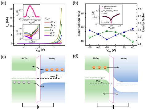 High-Responsivity Photovoltaic Photodetectors Based on MoTe2/MoSe2 van ...