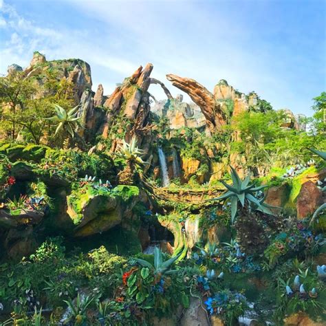 Pandora world of avatar at disney s animal kingdom – Artofit