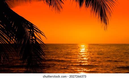 Image result for Sunset Climb O2