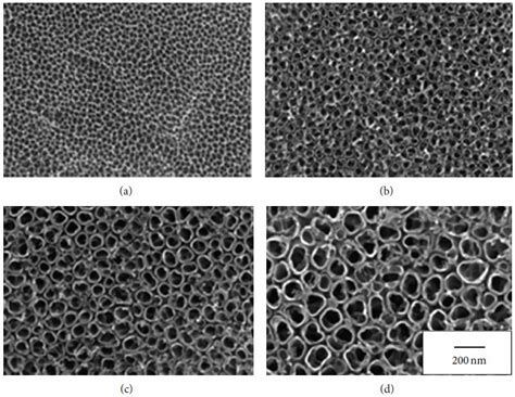 Porous Titanium for Dental Implant Applications