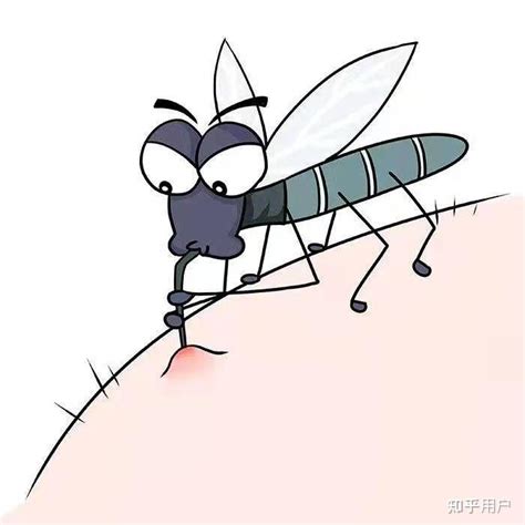雌蚊子只需交配一次便可终身产卵，你知道吗？_库蚊_气味_洗衣粉