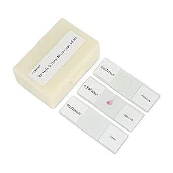 Prepared Bacteria and Fungi Microscope Slide Set, 9pcs Slides for ...