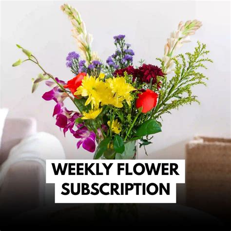 Weekly Flower Subscription in Hyderabad | Fiora
