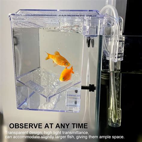 Lukern Tylu Breeder Box for Fish Tank with Divider Aquarium India | Ubuy