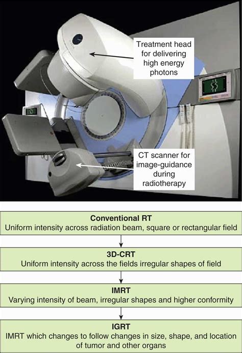Tumor and Normal Tissue Response to Radiotherapy | Oncohema Key