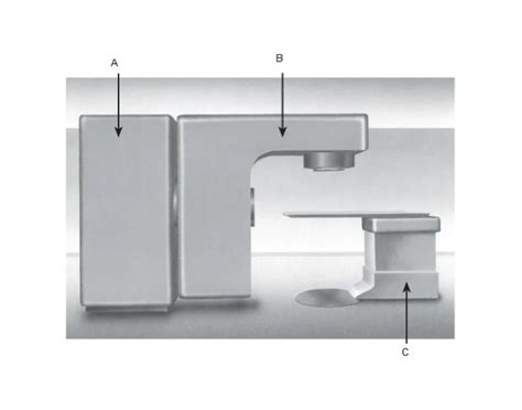 Image result for Module 7 Labeling Activity