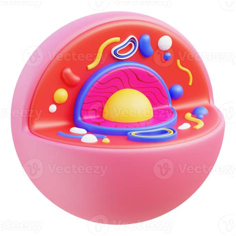 Cell Structure PNG 的图像结果