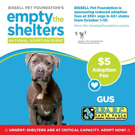 Santa Paula Animal Rescue Center | 🐾🏡 EMPTY THE SHELTERS EVENT: October ...