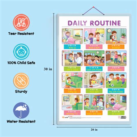 GO WOO Pack of 2 Life Cycle and DAILY ROUTINE Educational charts Price ...