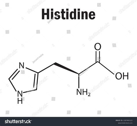 Structure Of Histidine