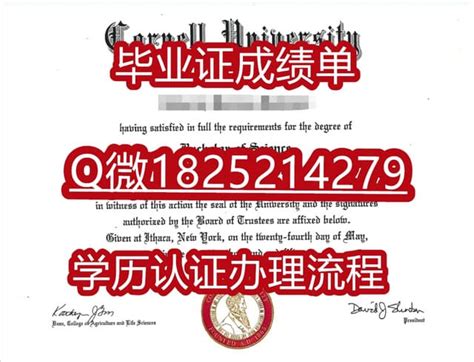 全套留学文凭办理：格里菲斯大学文凭学位学历证书