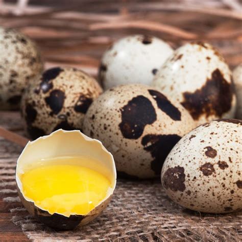 How to Cook Quail Eggs 5 Ways - Eggs All Ways
