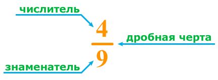 Подробно расскажем о Что значит числитель и знаменатель