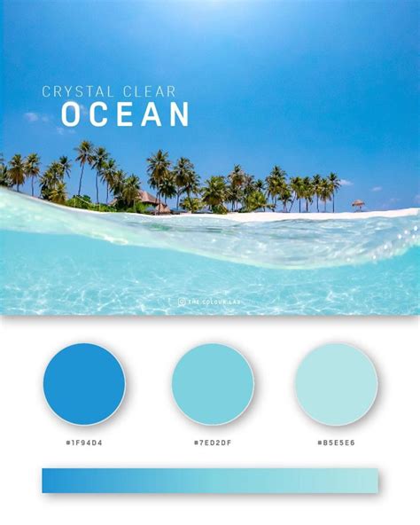 Color Design 的图像结果