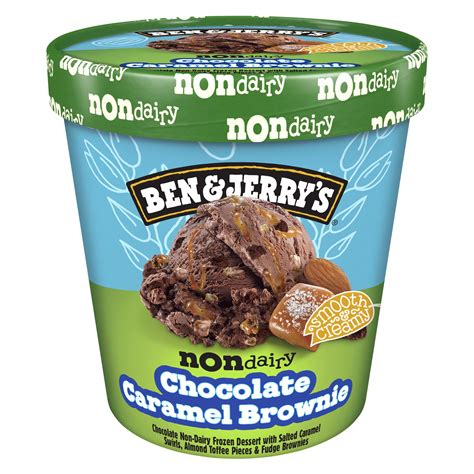Ben & Jerry's Non-Dairy Chocolate Caramel Brownie Ice Cream Pint, 16 fl ...