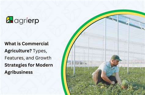 Types of Agricultural Practices | Pros & Cons Guide 2025