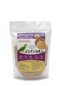 Buy SOUKFRILL Bird Food Rice Paddy for Cocktails,Love Birds,Silver ...