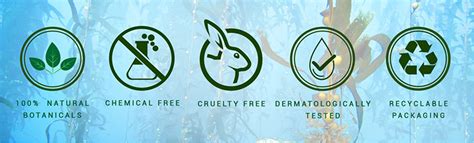 Ocean Kelp Anti Hair Fall Shampoo for Hair Growth | Biotique