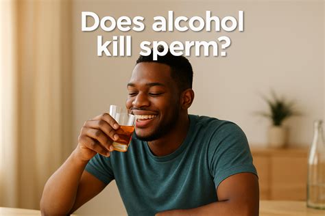Does Alcohol Kill Sperm? - Fekomi Herbals