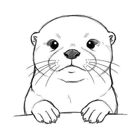 Pin by Eva Babicová on Kája | Easy animal drawings, Animal drawings ...