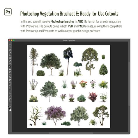 Procreate & Photoshop Collage Vegetation Brushset & Cutouts | Toffu Co