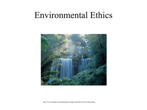 Image result for Environmental Ethics Example