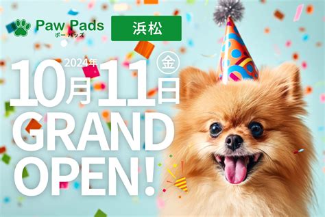 Contact – Paw Pads