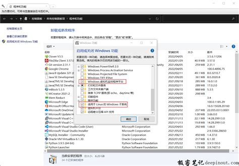 WSL Example 的图像结果