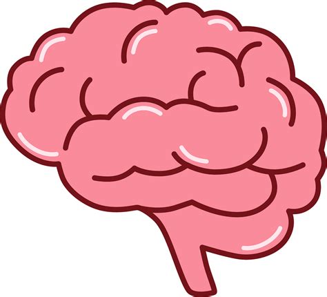 Clipart Brain Images