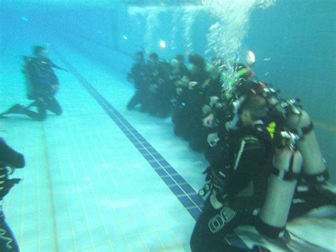 POSEIDON DIVE CENTER (2025) All You Need to Know BEFORE You Go (with ...