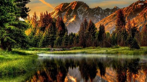 Image result for Colorado O2 Sensor Bank One