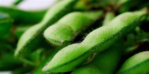Everything Edamame: How to Cook, Nutrition, and Health Benefits