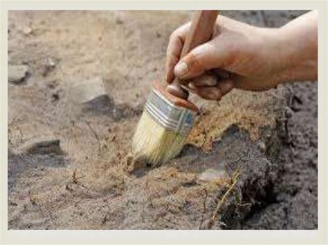 Archaeology Examples 的图像结果