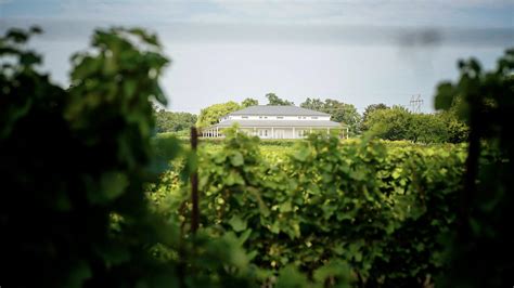 Anthony Road Wine Company Rosé of Cabernet Franc 2023 | Anthony Road ...