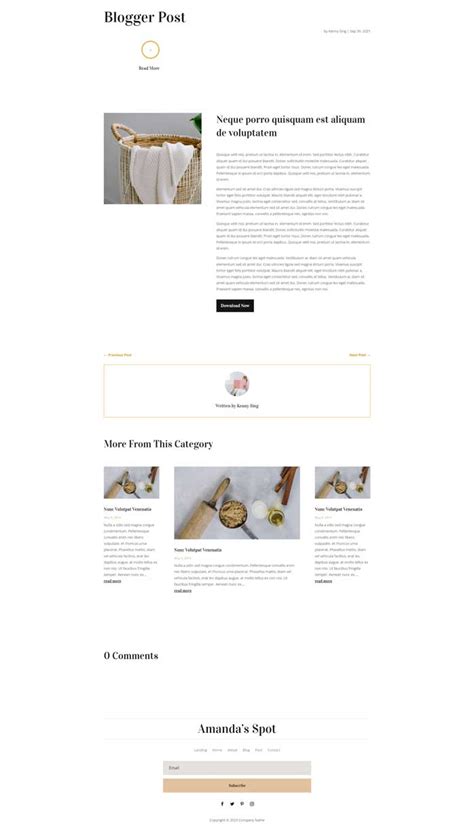 Image result for Divi Builder WordPress Blog Post Design