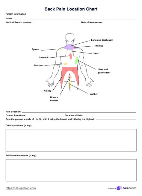 Chest Pain Location Charts & Example | Free PDF Download