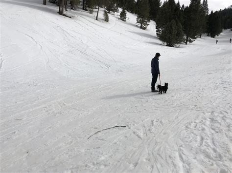 Winter Van Life: Pine Creek Ski Resort - Ski Burrito