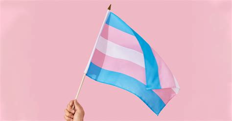 Transgender Flag: Colors & Meaning For Trans History