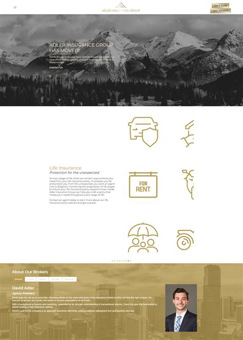 Insurance Agent Website 的图像结果