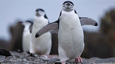 Photo of the day - National Geographic Channel - Canada
