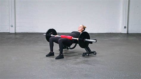 Hip Thrust Exercise 的图像结果