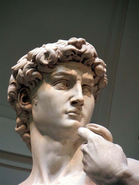 BOTANICAL ART AND ARTISTS: Renaissance Art Michelangelo David