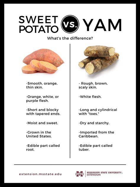 11 amazing health benefits of sweet potatoes – Artofit