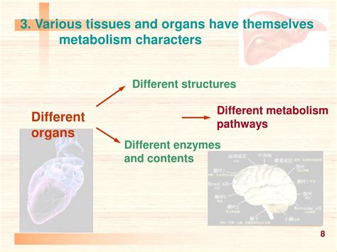 Biochemistry 的图像结果